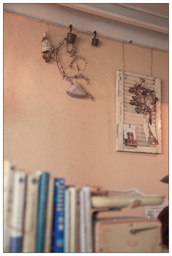 黑兔兔的散步生活