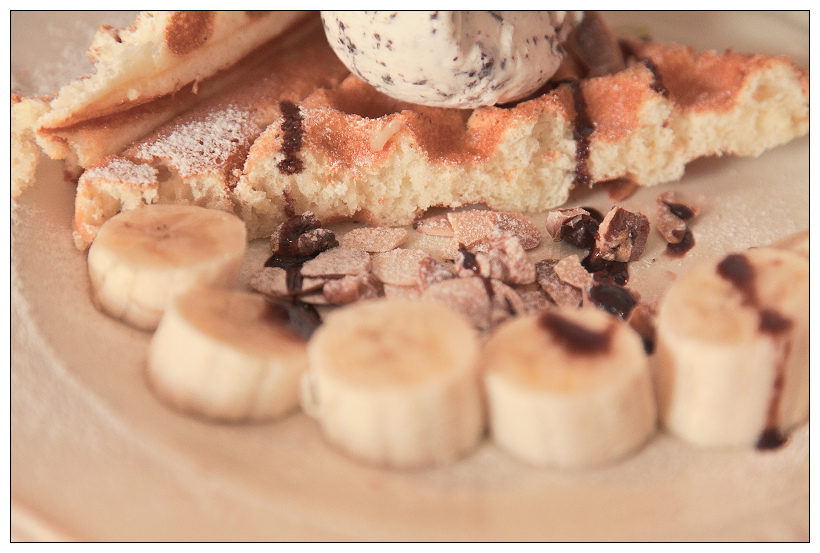 黑兔兔的散步生活