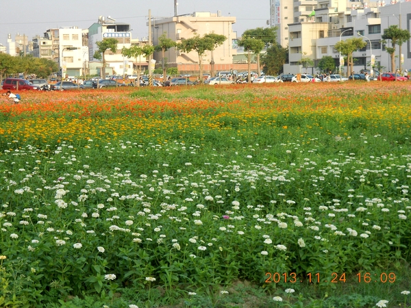 橋頭花田喜事：花田喜事~風情橋頭