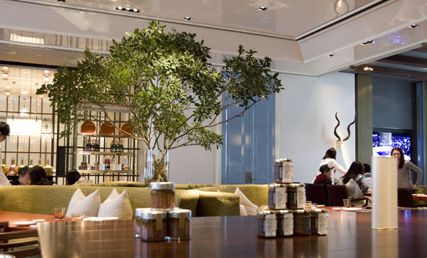 Bencotto午餐初訪-15