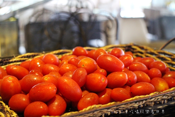 海豚咖啡：偶像劇的拍攝地『海豚咖啡』三芝親子餐廳/包場/淺水灣/看海放鬆好去處