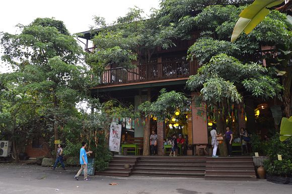 民雄金桔農莊04