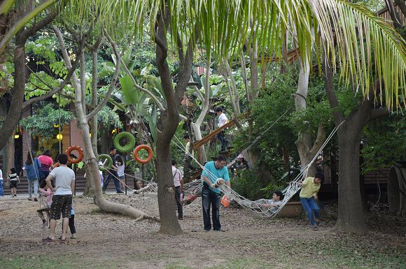 民雄金桔農莊36