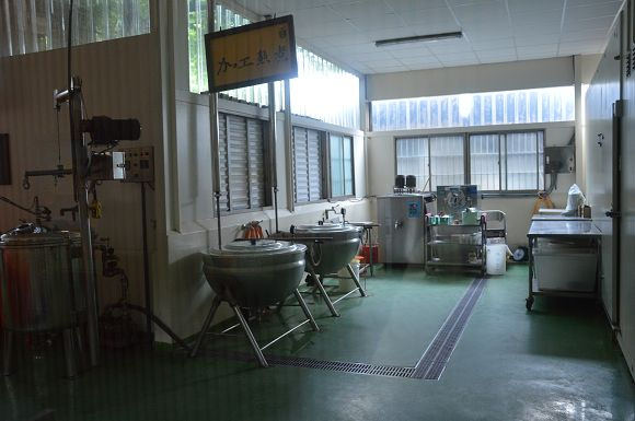 民雄金桔農莊50