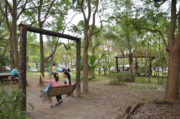 民雄金桔農莊32