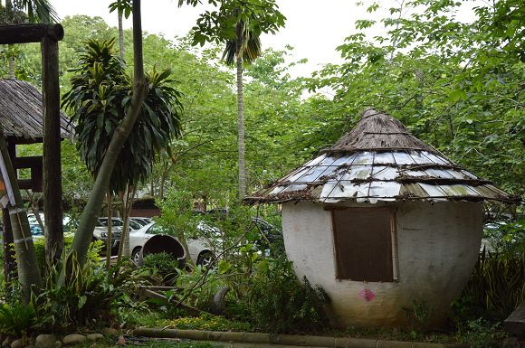 民雄金桔農莊03