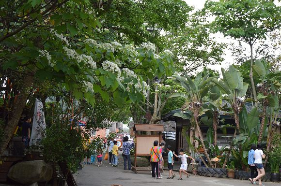 民雄金桔農莊27