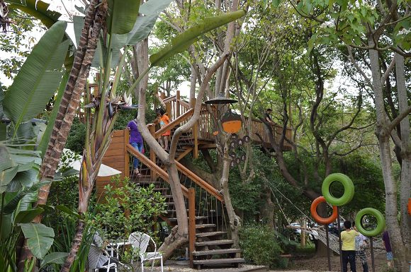 民雄金桔農莊39