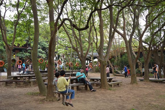 民雄金桔農莊34