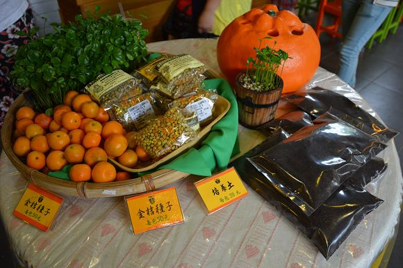 民雄金桔農莊58