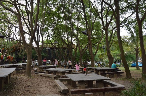 民雄金桔農莊31