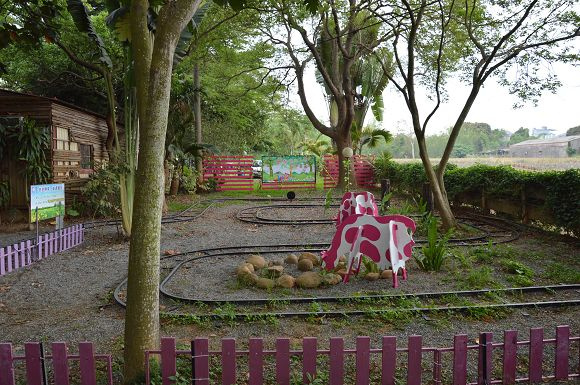 民雄金桔農莊41