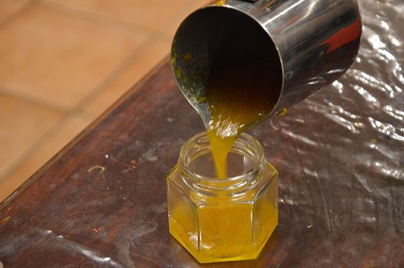 民雄金桔農莊16