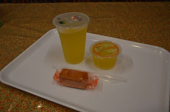 民雄金桔農莊21