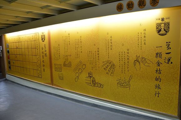 民雄金桔農莊49