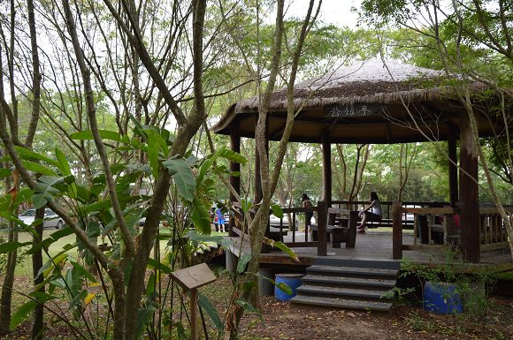 民雄金桔農莊35