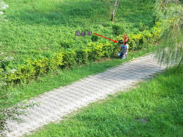 舊鐵橋天空步道:文化公車遊趣(十六)~舊鐵橋2-上橋篇