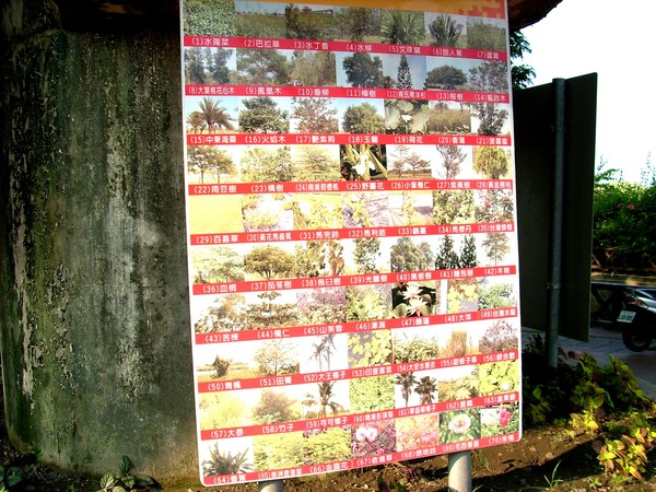 舊鐵橋天空步道：文化公車遊趣(十六)~舊鐵橋2-上橋篇