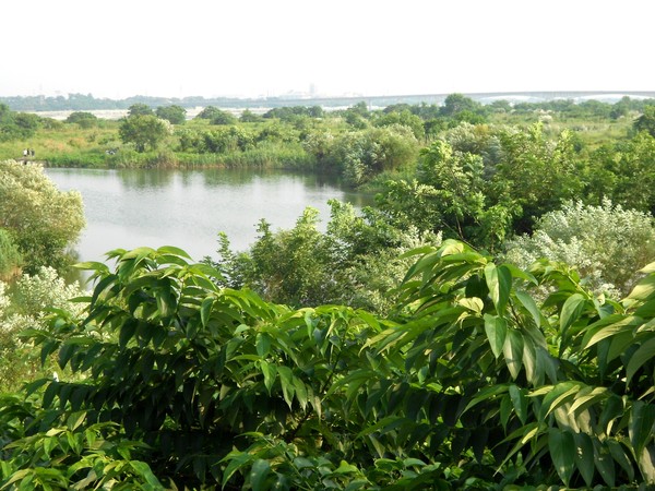 舊鐵橋天空步道：文化公車遊趣(十六)~舊鐵橋2-上橋篇