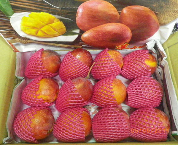 很慢的芒果：[愛文芒果]香甜味美˙怎麼吃都不會膩