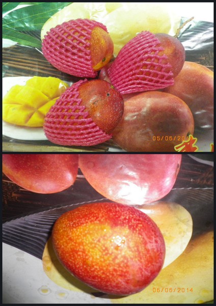 很慢的芒果：[愛文芒果]香甜味美˙怎麼吃都不會膩