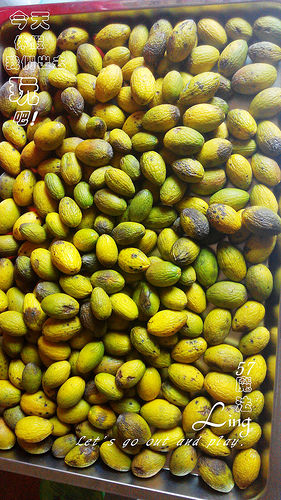 IMG_20151130_153033_副本