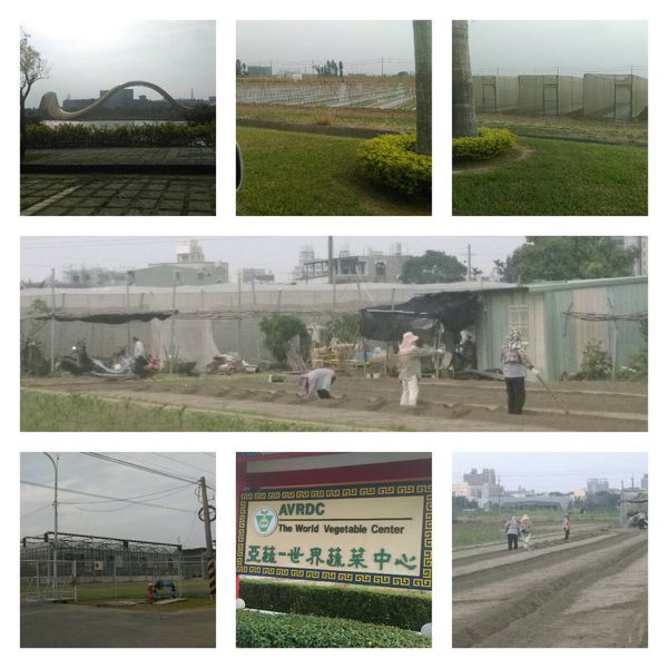 亞蔬~世界蔬菜中心