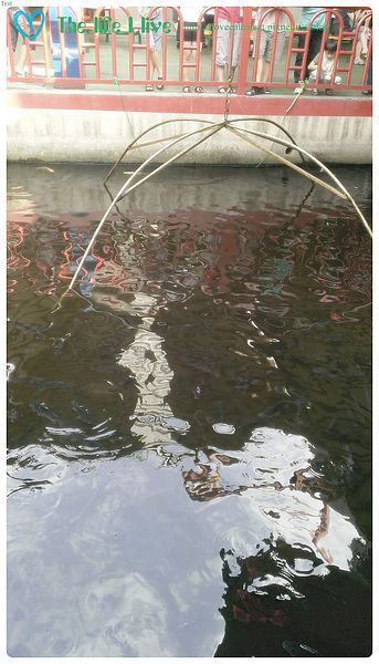 2014-06-08 15.49.10.jpg