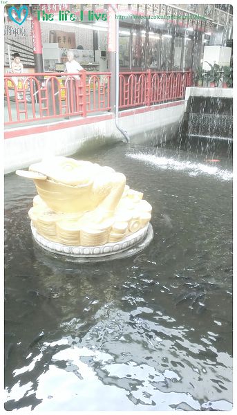 2014-06-08 16.05.44.jpg