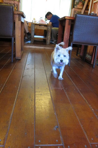 攝香攝影主題咖啡館：【南投。草屯】攝香咖啡館~藏於巷弄裡的特別咖啡館