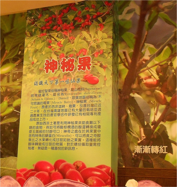 台灣農業港都風味餐廳：神秘の果-左營區自由四路488號 (體驗-台灣農業港都風味餐廳)