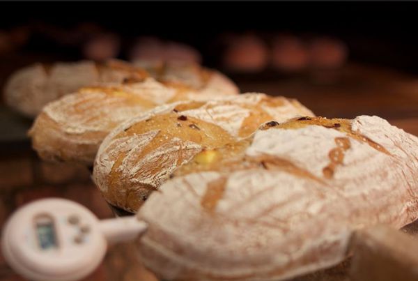 10917273_346053218852546_4242869211706144749_n