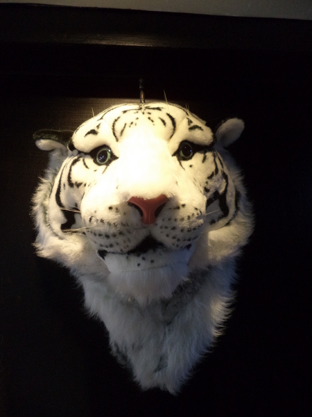 Cool N2 分子虎分子雪糕專賣店:Cool N2 分子虎分子雪糕專賣店──高科技與美味兼具的特色冰品