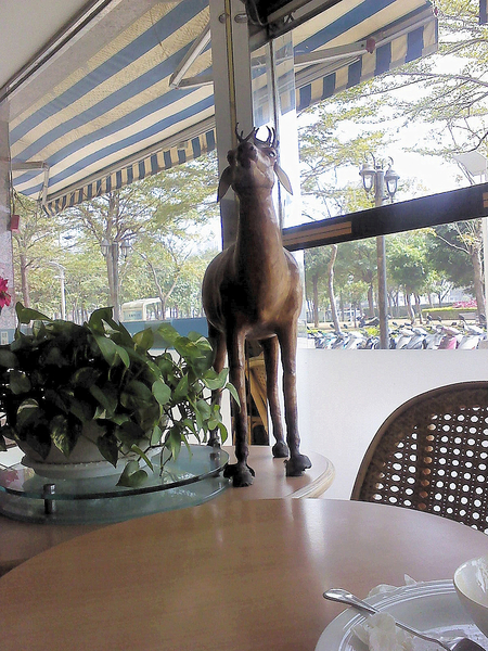 多倫多咖啡:多倫多咖啡(新光店)-苓雅區自強三路6號