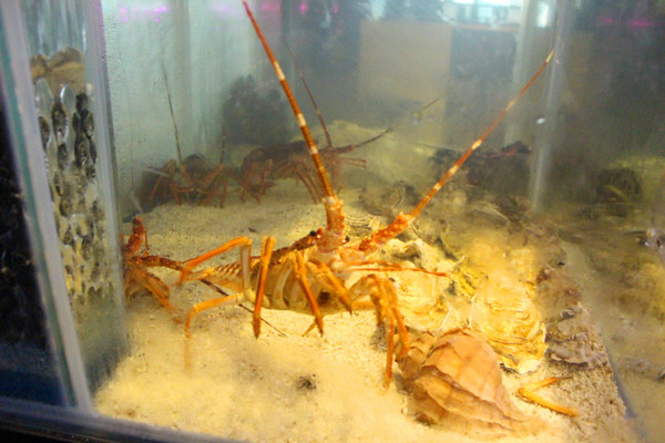 Mist迷霧精緻燒肉：[高雄]燒肉界的LV頂級和牛 迷霧燒肉