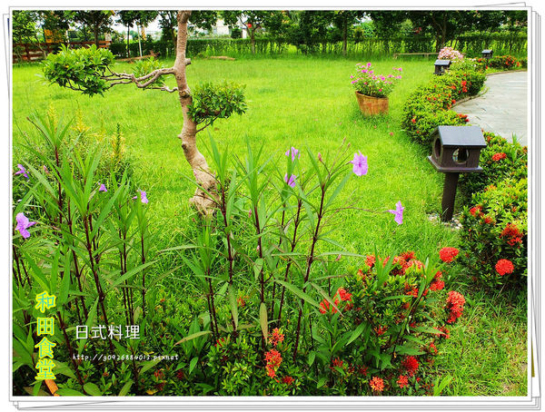 DSCF1613_副本_副本