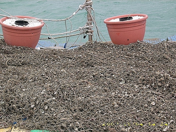 澎湖。(Penghu)：開庭遊記(四)~菊島篇