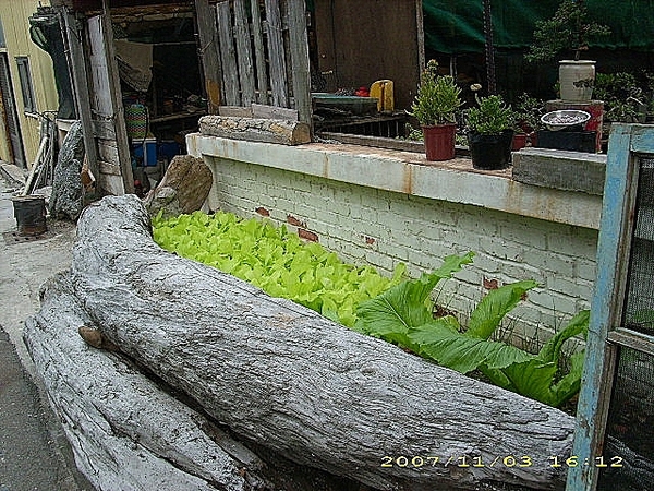 澎湖。(Penghu)：開庭遊記(四)~菊島篇