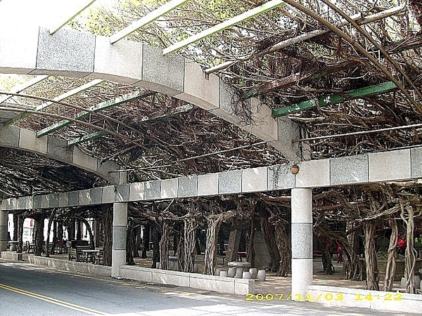 澎湖。(Penghu)：開庭遊記(四)~菊島篇