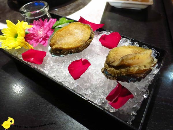 【林口】鍋之舞-高貴而不貴且令人回味