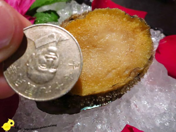 【林口】鍋之舞-高貴而不貴且令人回味