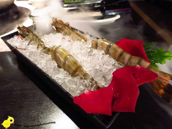 【林口】鍋之舞-高貴而不貴且令人回味