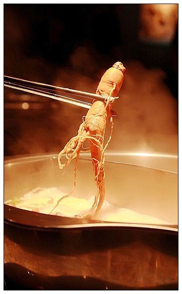 7879519202_cb54a9629f_c[1]1