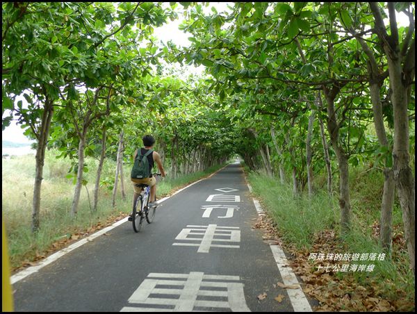 十七公里海岸線20.JPG
