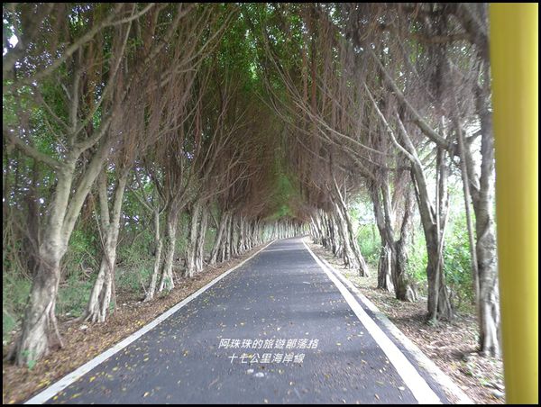 十七公里海岸線21.JPG