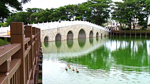 天鵝湖環保水上公園：【台南景點】天鵝湖環保水上公園~木棧道垂柳隨風搖曳❤不僅浪漫又充滿詩意❤