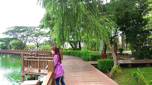天鵝湖環保水上公園：【台南景點】天鵝湖環保水上公園~木棧道垂柳隨風搖曳❤不僅浪漫又充滿詩意❤