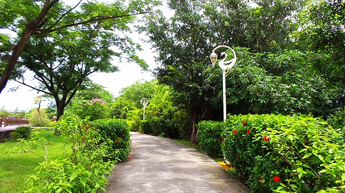 天鵝湖環保水上公園：【台南景點】天鵝湖環保水上公園~木棧道垂柳隨風搖曳❤不僅浪漫又充滿詩意❤