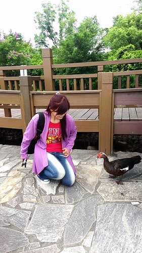 天鵝湖環保水上公園：【台南景點】天鵝湖環保水上公園~木棧道垂柳隨風搖曳❤不僅浪漫又充滿詩意❤