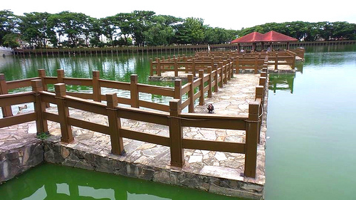 天鵝湖環保水上公園：【台南景點】天鵝湖環保水上公園~木棧道垂柳隨風搖曳❤不僅浪漫又充滿詩意❤